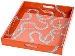 Amazon.com: Jonathan Adler Tiger Valet Tray : Home & Kitchen